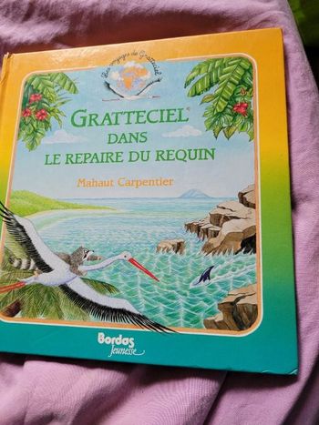 Gratteciel dans le repaire du requin