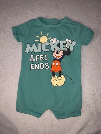 Grenouillère Disney
