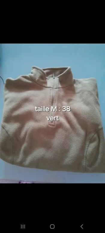 Pull polaire 38