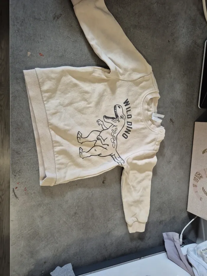 Pull dinosaure