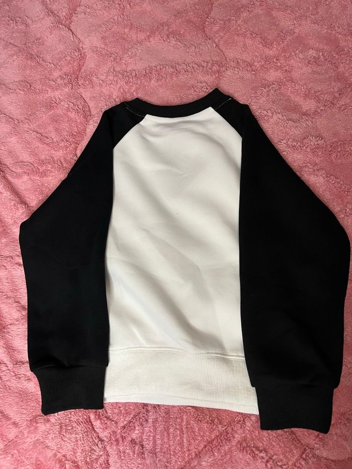 Pull robot - photo numéro 2