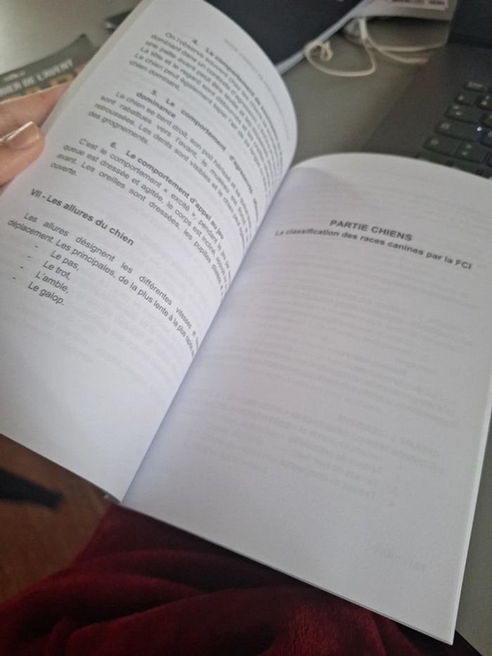 Guide complet de préparation à l'ACADED - photo numéro 2
