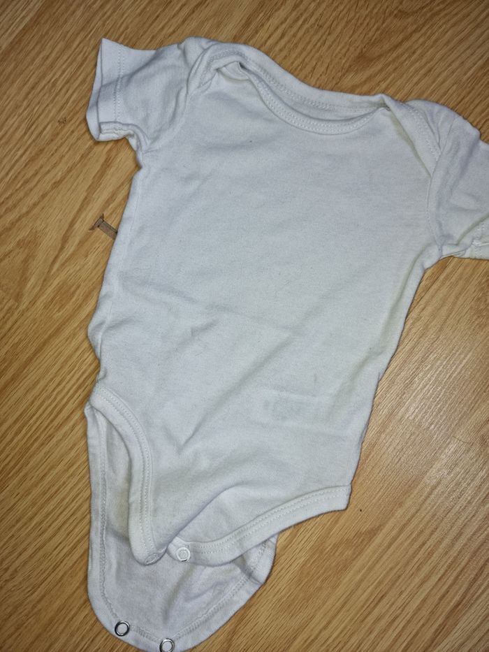 Body
