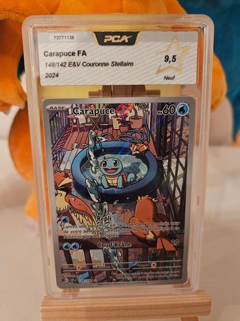 Carapuce ev7 PCA9.5