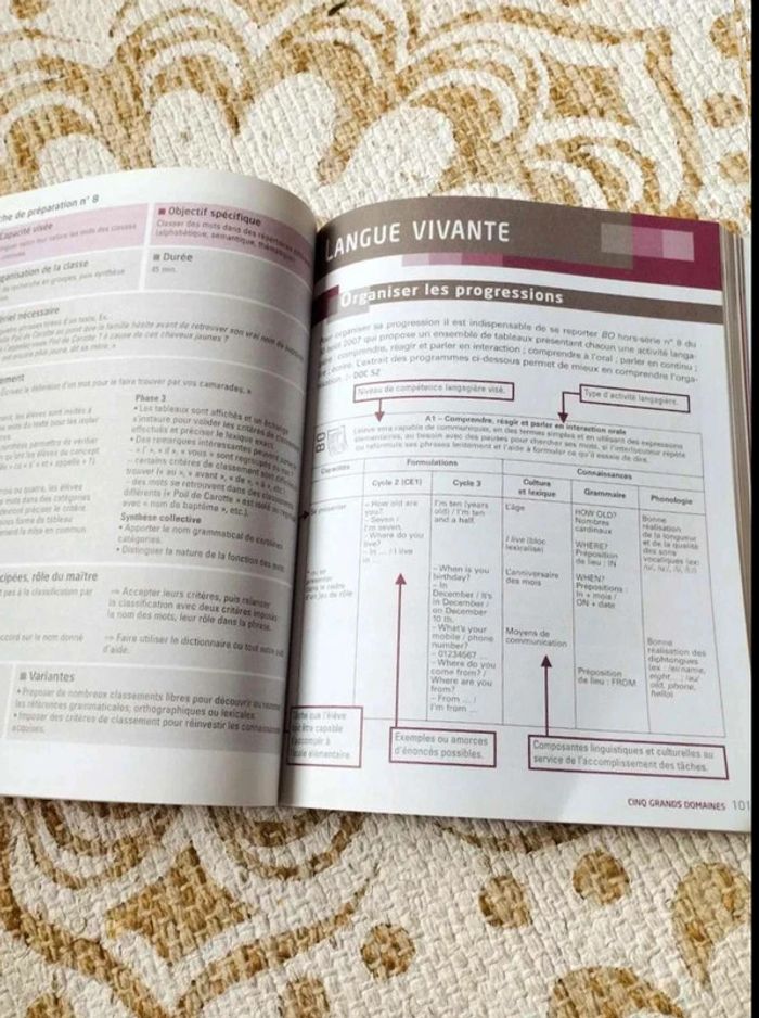 Comment enseigner en CM2 - photo numéro 3