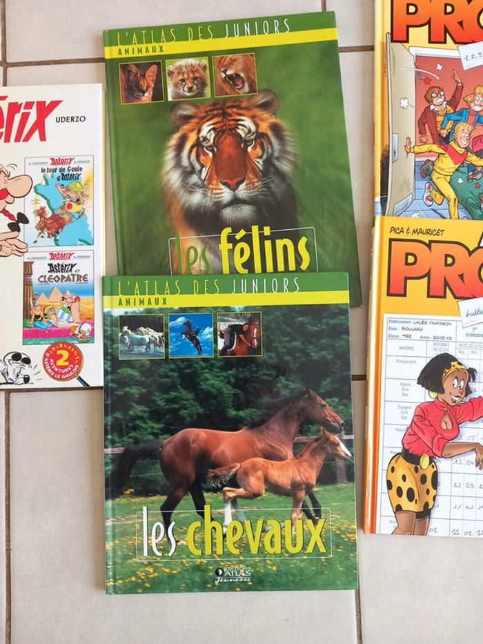 Lot livres bd - photo numéro 3