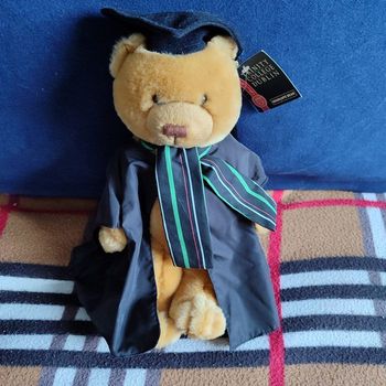 Doudou ours université Dublin 