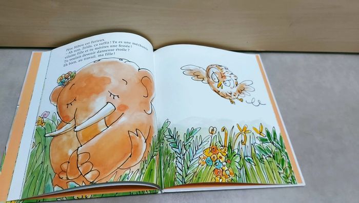 📚 Livre : Le secret de Zelda - photo numéro 2