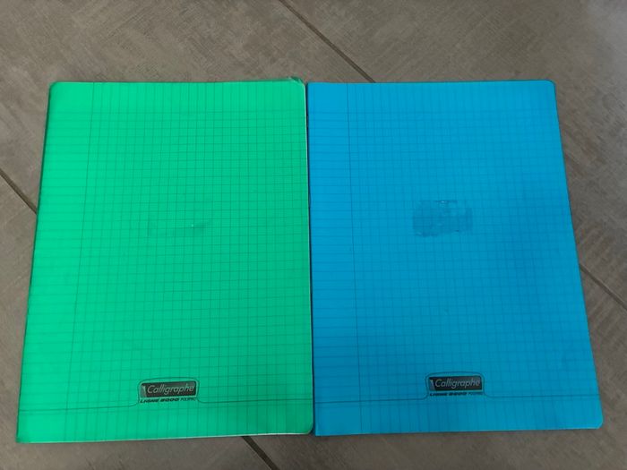 Lot 2 cahiers 96 pages