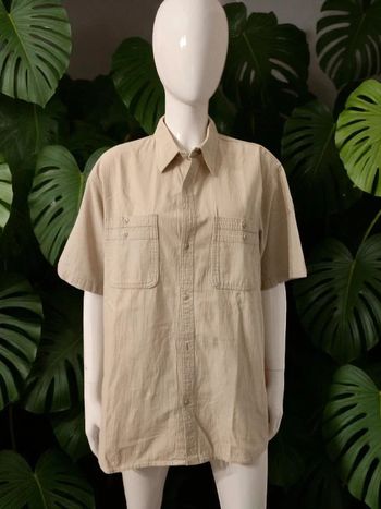 Chemise homme