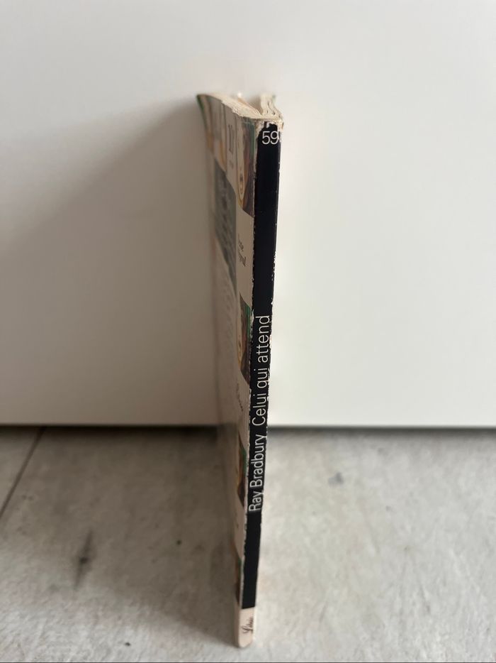 Celui qui attend et autres nouvelles de Ray Badbury - photo numéro 3