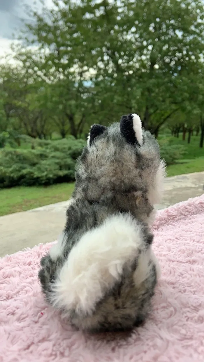 peluche husky - photo numéro 3