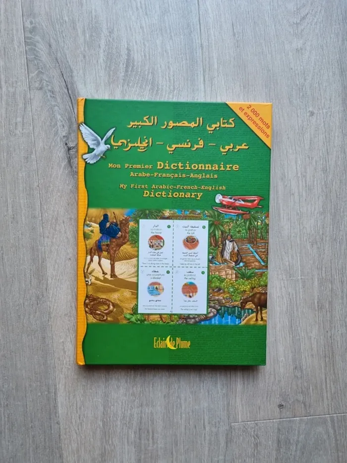 Dictionnaire arabe-français-anglais