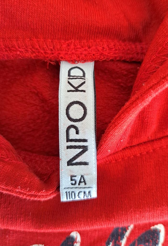 Sweat-shirt à capuche garçon 5 ans TBE - photo numéro 8