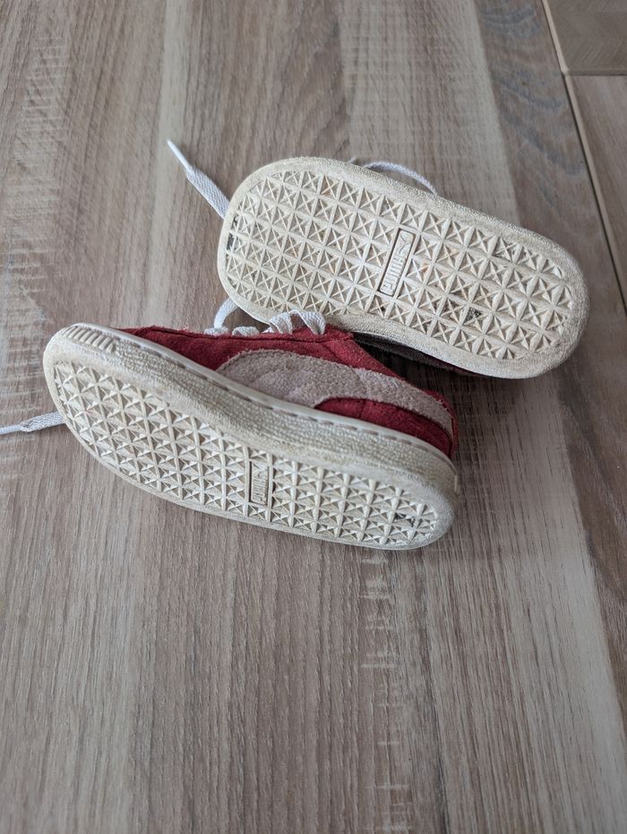 Puma bébé 21 - photo numéro 4