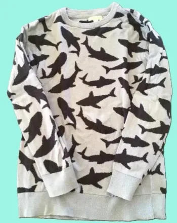 🦈 Pull garçon Vertbaudet motif requin 10 ans (140 cm) Très bon état