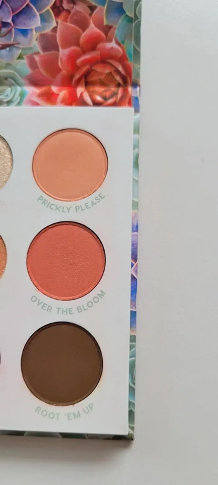 Palette garden variety - photo numéro 6