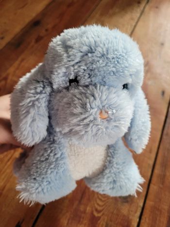 RARE Peluche Chien Boulgom bleu clair ciel blanc doudou Made in France collection 20cm