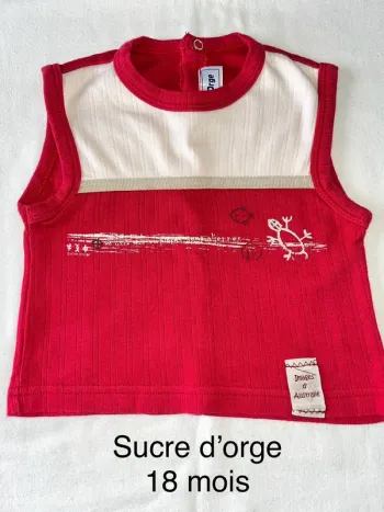 T-shirt sucre d’orge 18 mois