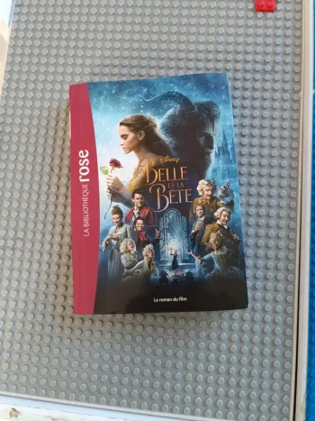 La Belle et la bête roman du film