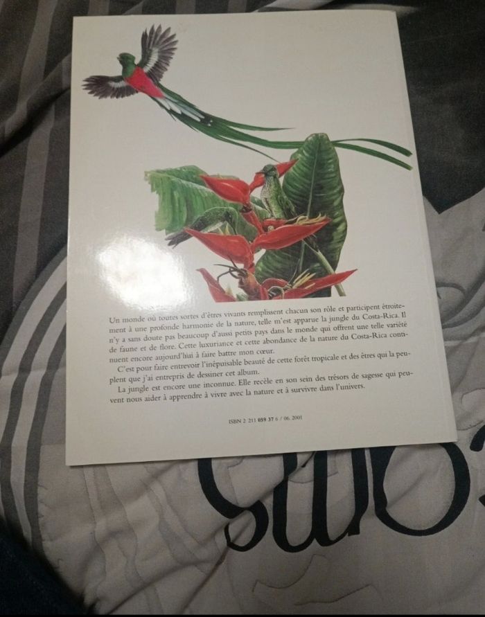 La jungle - photo numéro 2