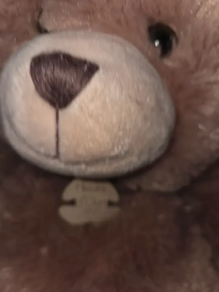 Ours histoire d'ours - photo numéro 2