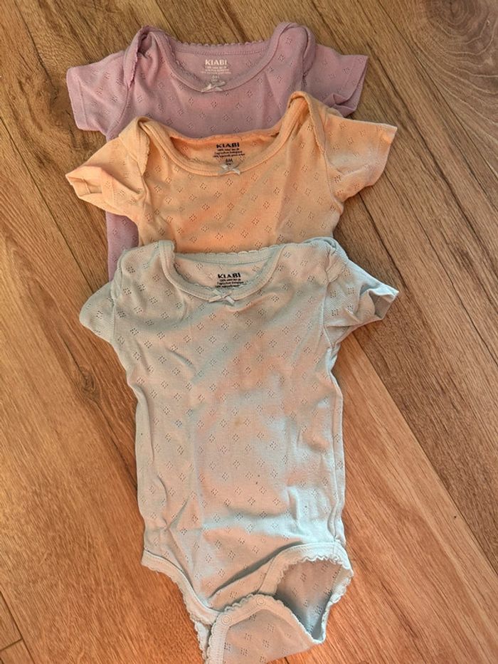 Bodies