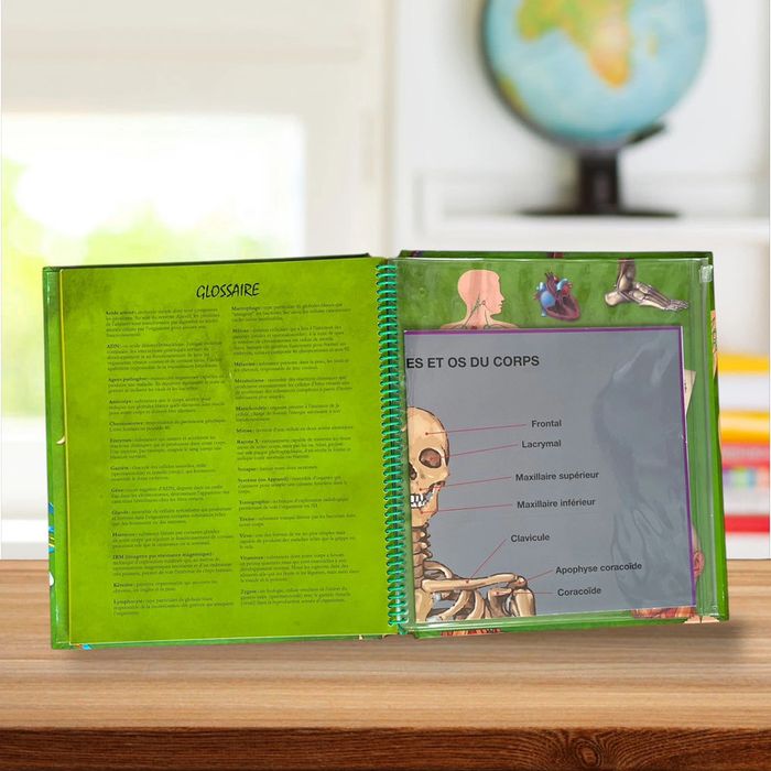 Livre éducatif illustré grand format + poster géant - Le corps humain - photo numéro 5