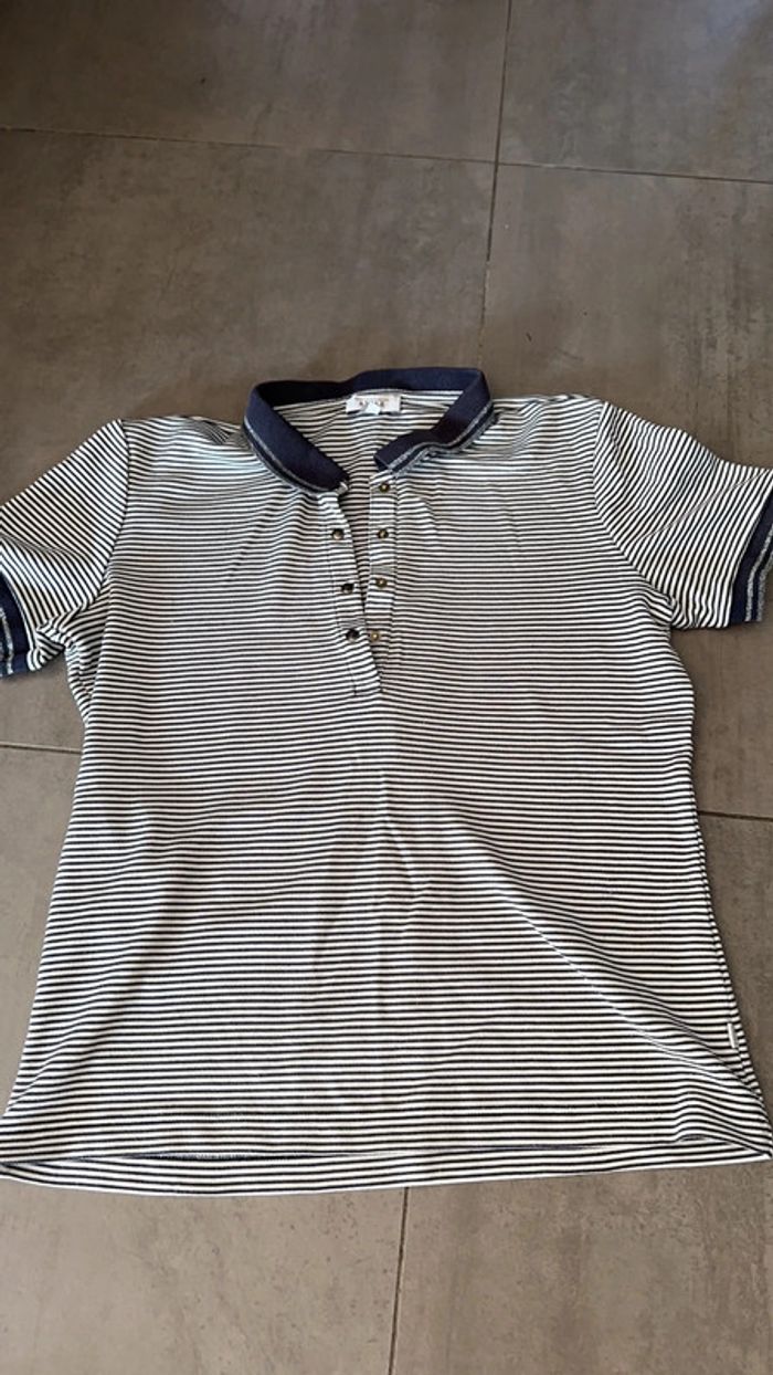 Polo aigle