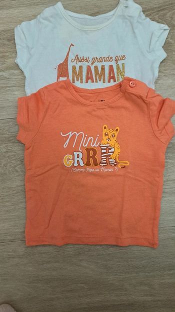 Lot de 2 tee shirt