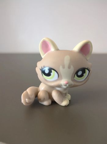 figurine pet shop chat