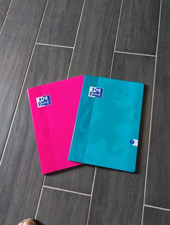 2 cahiers oxford neuf 96 pages 21x 29,7cm