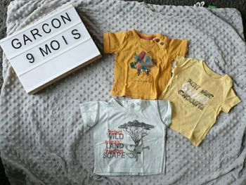 Lot de 3 tee shirt 9 mois
