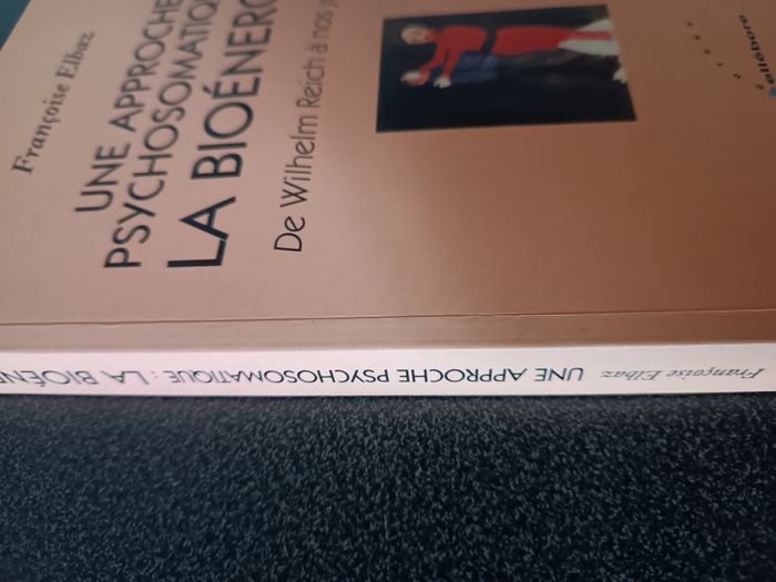 Bioenergie - approche psychosomatique - photo numéro 2