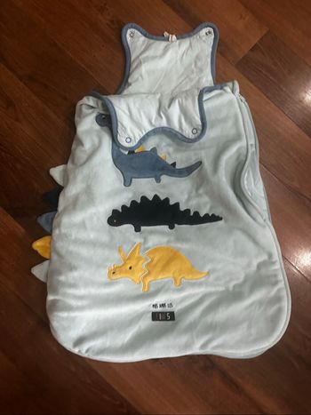 Gigoteuse, dinosaures