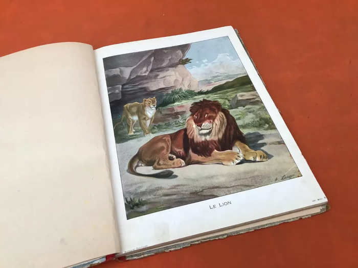 Les Animaux Sauvages et Domestiques (Mai 1929) Garnier Frères Paris - photo numéro 3