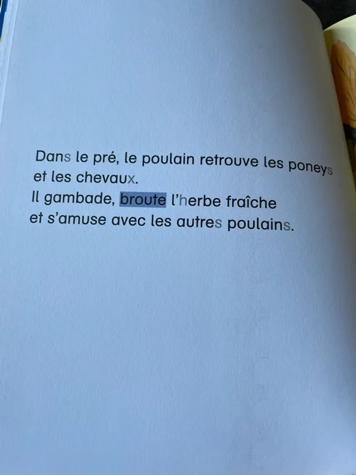 Lot 2 livres Je suis en CP Niveau 3 je lis tout seul - photo numéro 7