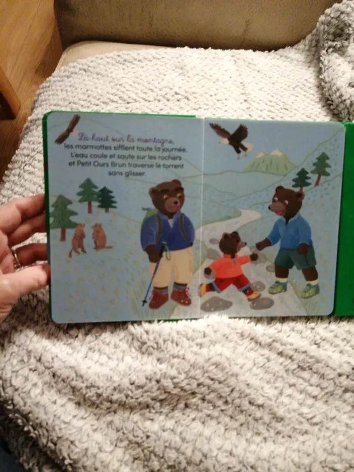 Livre "petit ours brun" - photo numéro 7