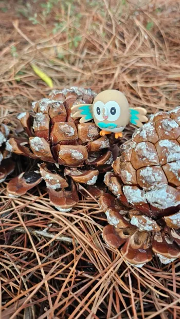 Super figurine Pokemon Nintendo Brindibou