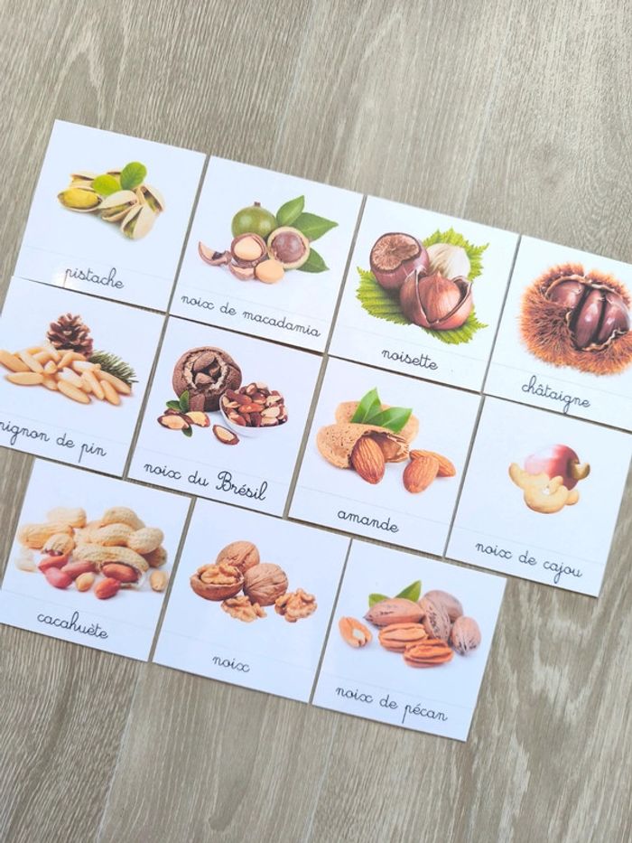 Cartes de nomenclature des noix comestibles