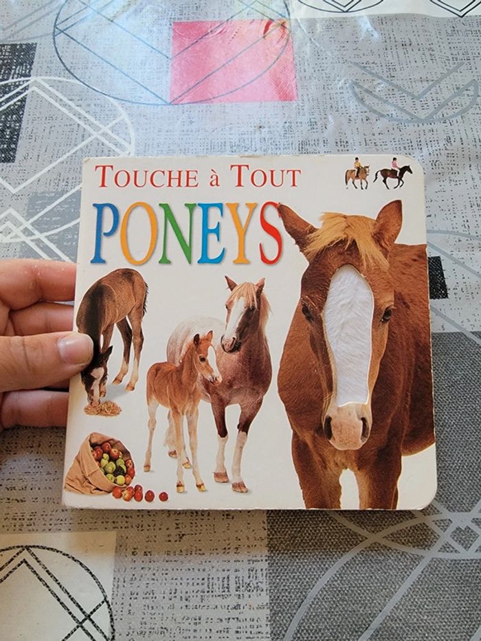 Touc à tout poneys