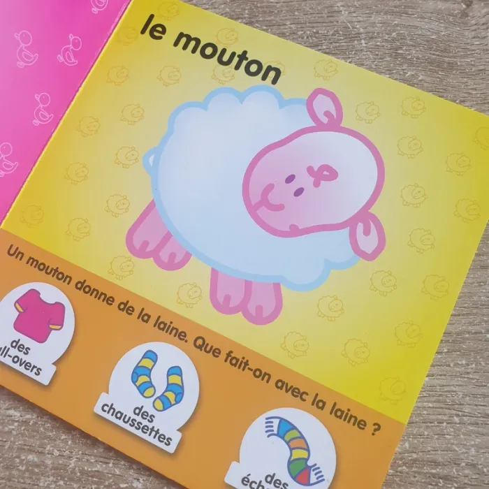 ⭐ Livre Les animaux Yoyo éditions #emyfleury_livres - photo numéro 6