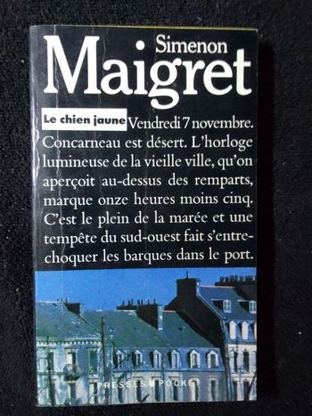 Simenon 🫧 Un chien jaune