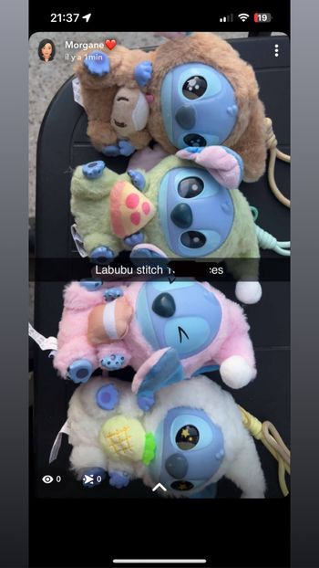 Labubu stitch