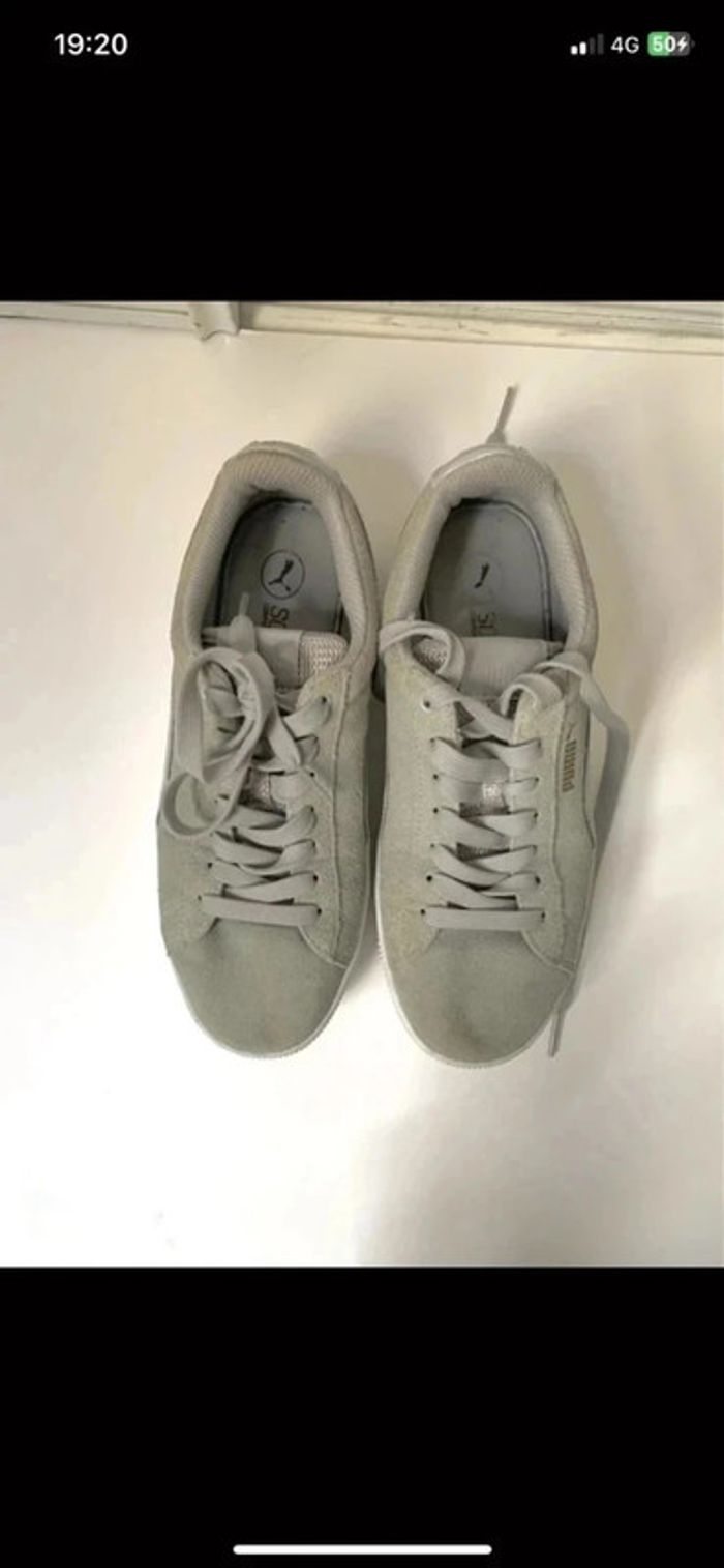 Puma kaki clair - photo numéro 2