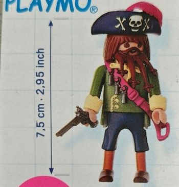 Playmobil 4654 Pirate