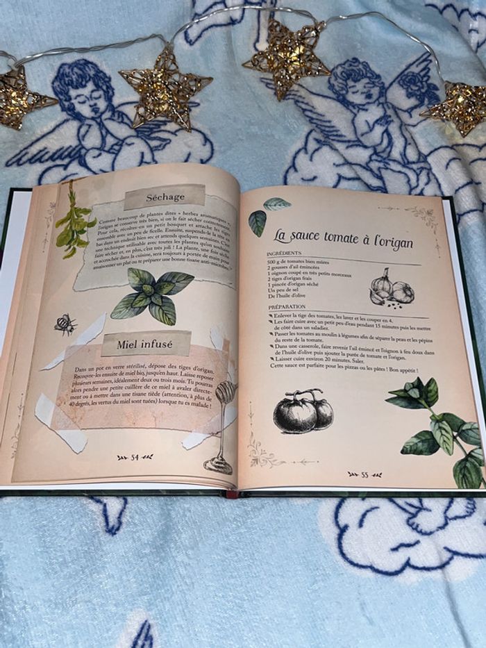 Petit traité de botanique des fées - Album Caroline Scheuer, Chloé Dijon - photo numéro 3