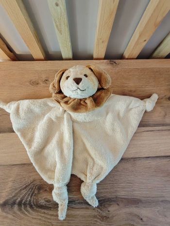 Chien marron et beige Bukowski