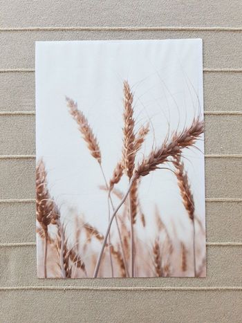 Affiche murale 21x30cm