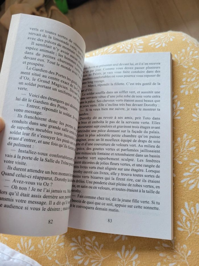 Livre le magicien d'Oz - photo numéro 3